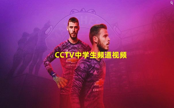 CCTV中学生频道视频