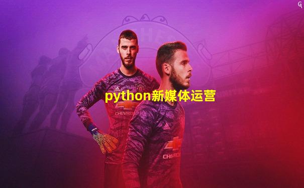 python新媒体运营