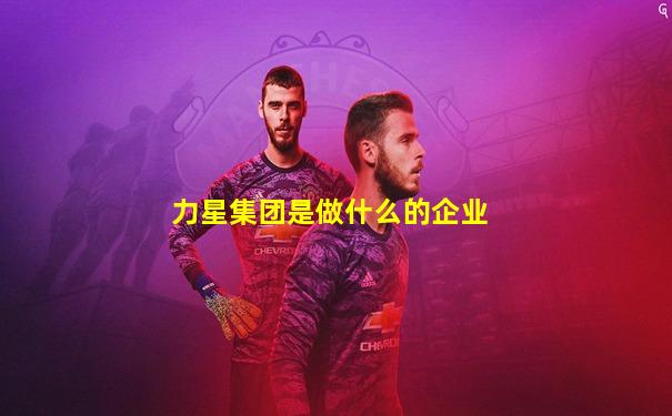 力星集团是做什么的企业