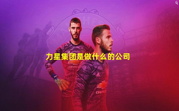 力星集团是做什么的公司