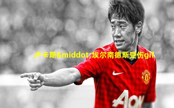 卢卡斯·埃尔南德斯受伤gif