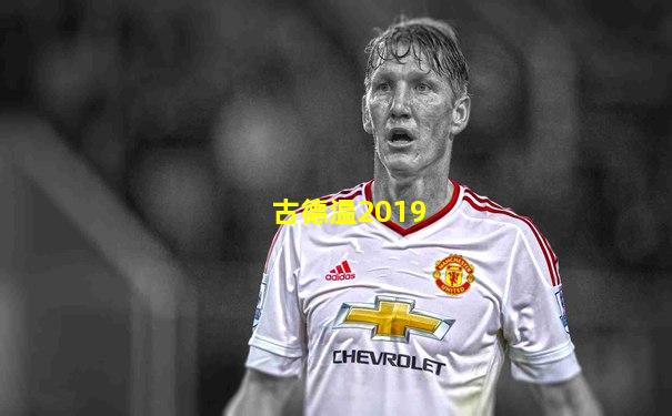 古德温2019