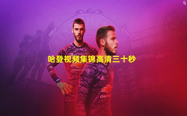 哈登视频集锦高清三十秒