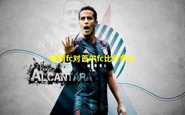 城南fc对首尔fc比分多么