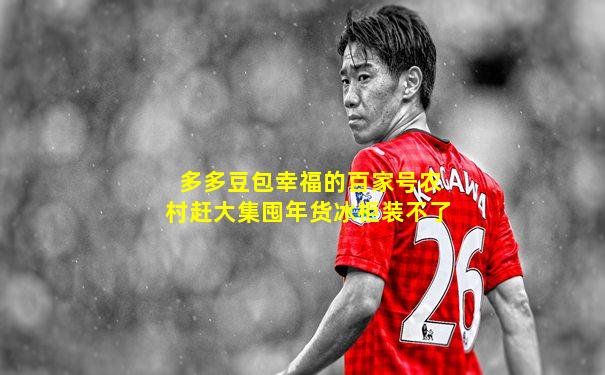 多多豆包幸福的百家号农村赶大集囤年货冰柜装不了