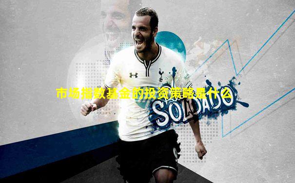 市场指数基金的投资策略是什么
