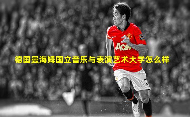 德国曼海姆国立音乐与表演艺术大学怎么样