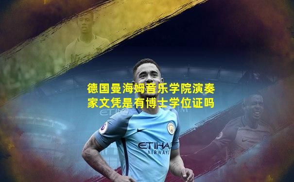 德国曼海姆音乐学院演奏家文凭是有博士学位证吗
