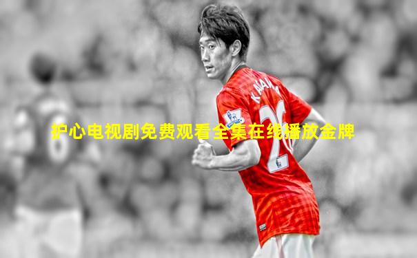 护心电视剧免费观看全集在线播放金牌