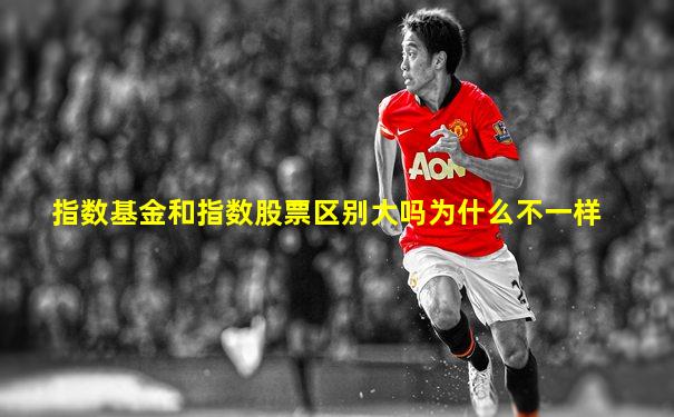 指数基金和指数股票区别大吗为什么不一样