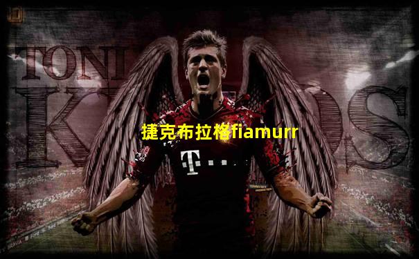 捷克布拉格fiamurr