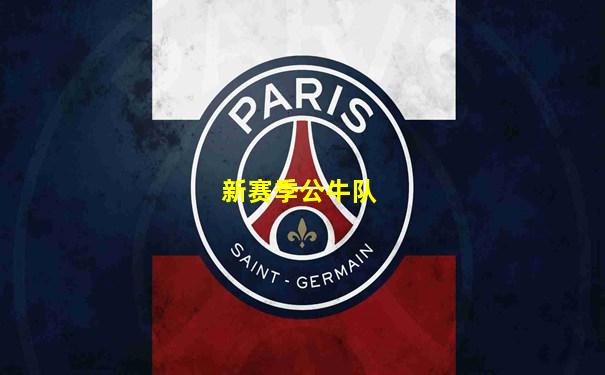 新赛季公牛队