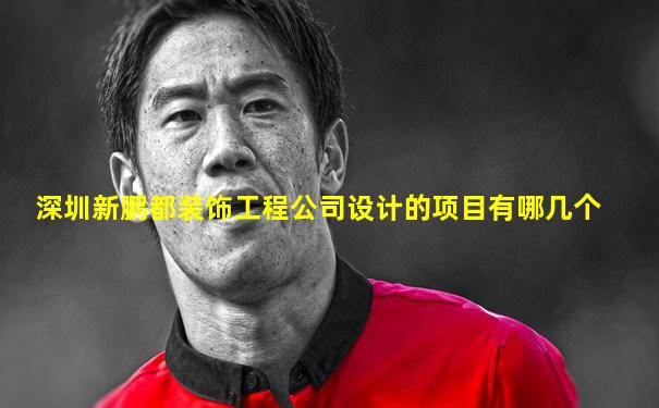 深圳新鹏都装饰工程公司设计的项目有哪几个