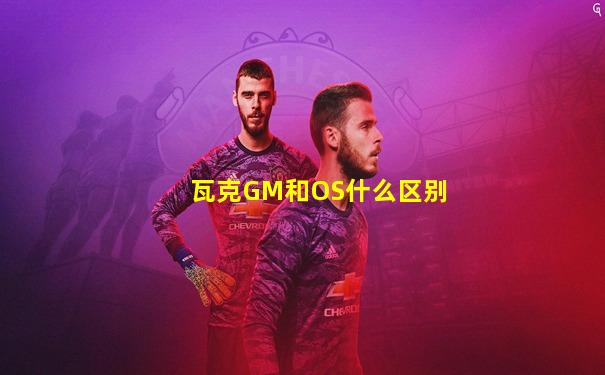 瓦克GM和OS什么区别