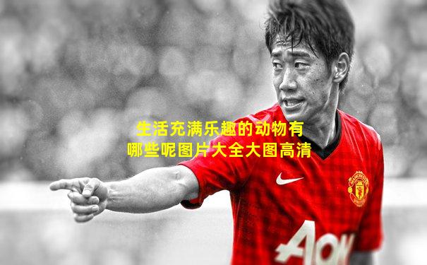 生活充满乐趣的动物有哪些呢图片大全大图高清