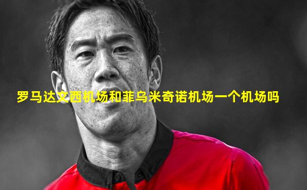 罗马达文西机场和菲乌米奇诺机场一个机场吗