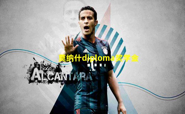 莫纳什diploma奖学金