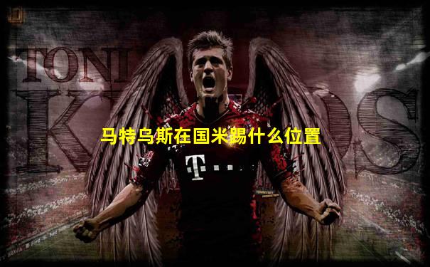 马特乌斯在国米踢什么位置