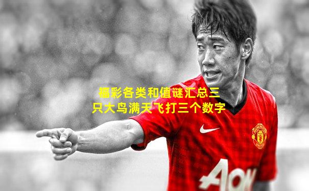 福彩各类和值谜汇总三只大鸟满天飞打三个数字
