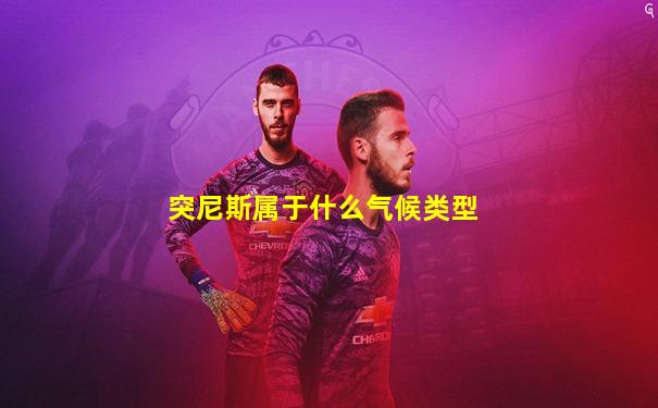 突尼斯属于什么气候类型