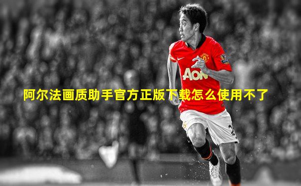 阿尔法画质助手官方正版下载怎么使用不了